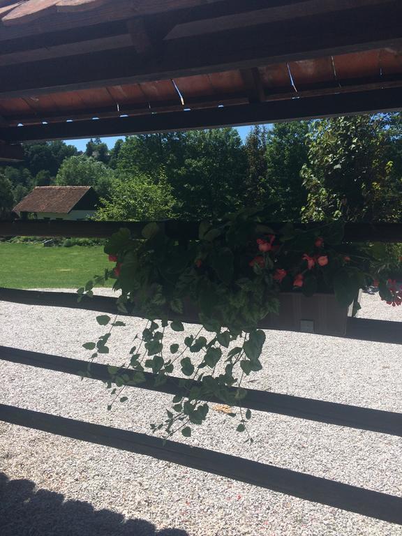 Gostisce Smuk Otel Križe Dış mekan fotoğraf